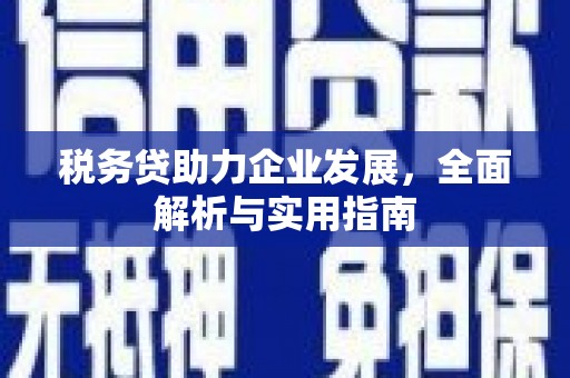 颍泉税务贷助力企业发展，全面解析与实用指南