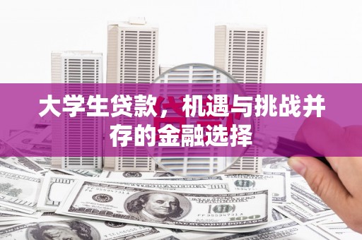 颍泉大学生贷款，机遇与挑战并存的金融选择