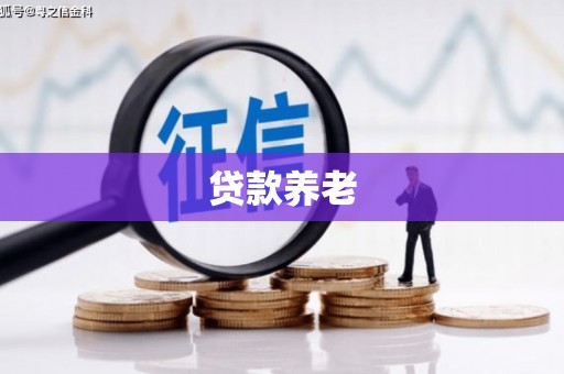 颍泉贷款养老