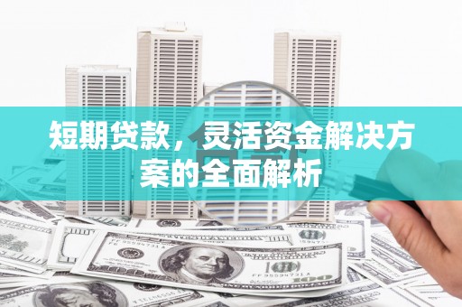 颍泉短期贷款，灵活资金解决方案的全面解析