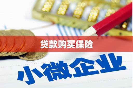 颍泉贷款购买保险
