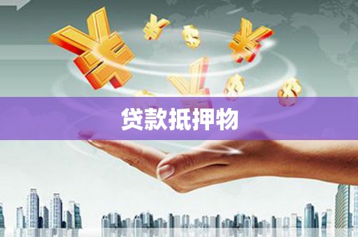 颍泉贷款抵押物