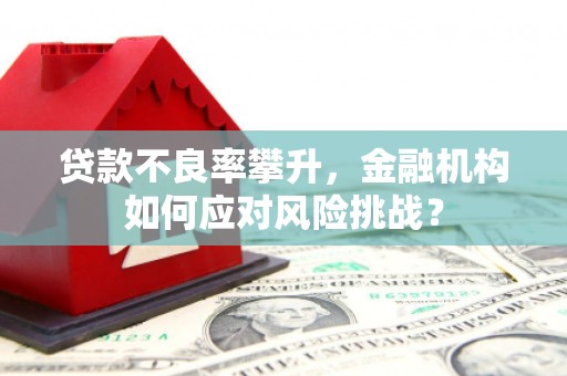 颍泉贷款不良率攀升，金融机构如何应对风险挑战？
