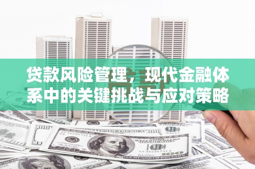 颍泉贷款风险管理，现代金融体系中的关键挑战与应对策略