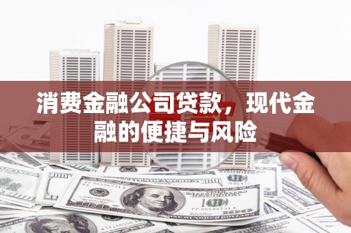 颍泉消费金融公司贷款，现代金融的便捷与风险