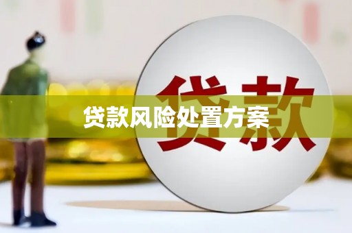颍泉贷款风险处置方案