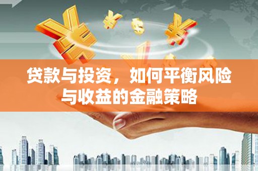 颍泉贷款与投资，如何平衡风险与收益的金融策略