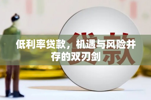 颍泉低利率贷款，机遇与风险并存的双刃剑
