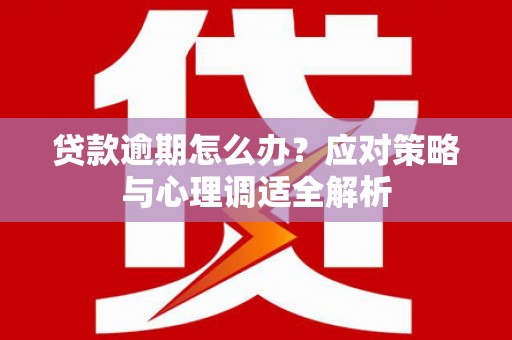 颍泉贷款逾期怎么办？应对策略与心理调适全解析