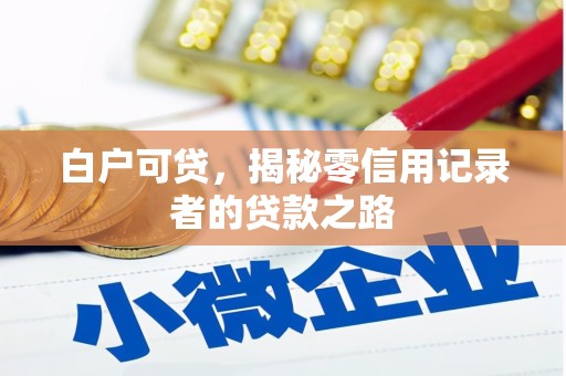 颍泉白户可贷，揭秘零信用记录者的贷款之路