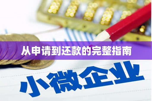 颍泉从申请到还款的完整指南