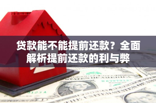 颍泉贷款能不能提前还款？全面解析提前还款的利与弊