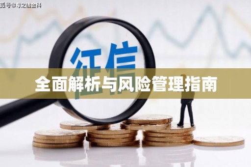 颍泉全面解析与风险管理指南