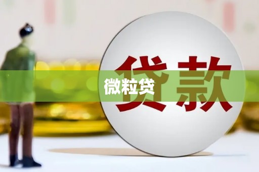 颍泉微粒贷