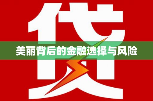 颍泉美丽背后的金融选择与风险