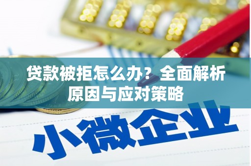 颍泉贷款被拒怎么办？全面解析原因与应对策略