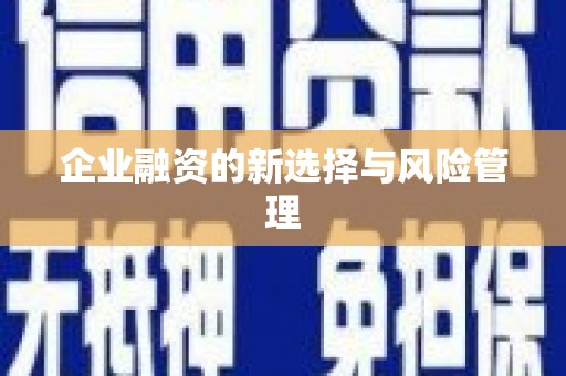颍泉企业融资的新选择与风险管理
