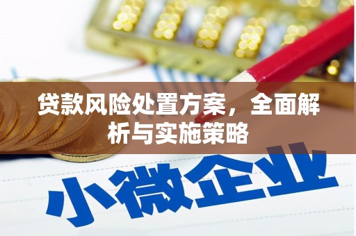 颍泉贷款风险处置方案，全面解析与实施策略