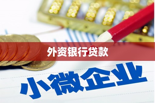 颍泉外资银行贷款