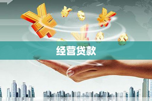 颍泉经营贷款