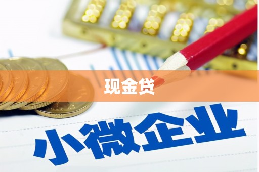 颍泉现金贷