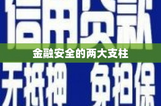 颍泉金融安全的两大支柱