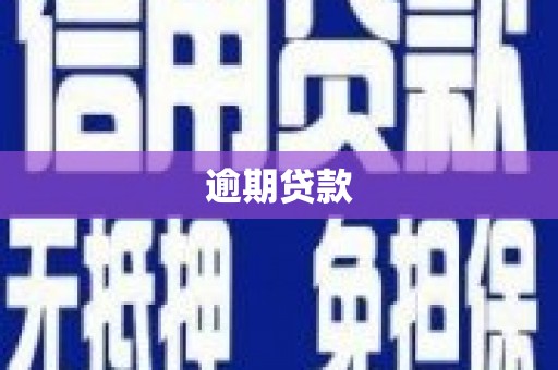 颍泉逾期贷款