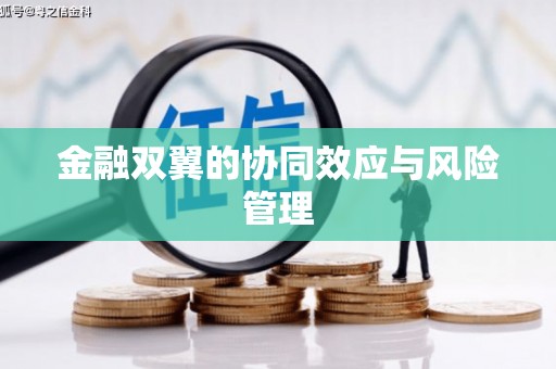 颍泉金融双翼的协同效应与风险管理