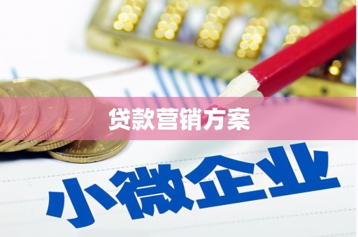 颍泉贷款营销方案