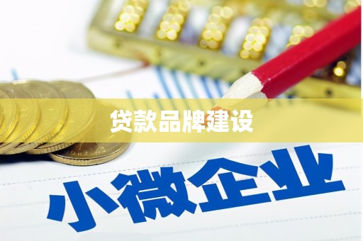 颍泉贷款品牌建设