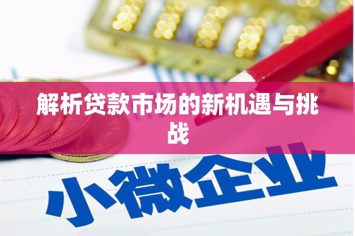 颍泉解析贷款市场的新机遇与挑战
