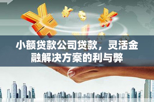 颍泉小额贷款公司贷款，灵活金融解决方案的利与弊